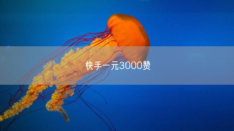 快手一元3000赞