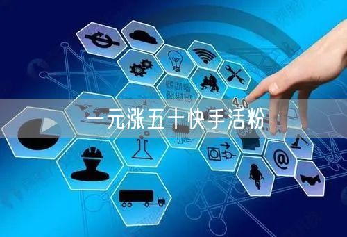 一元涨五十快手活粉