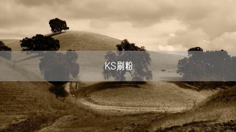 KS刷粉