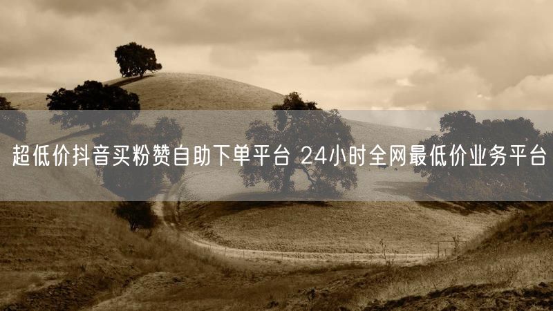 超低价抖音买粉赞自助下单平台 24小时全网最低价业务平台