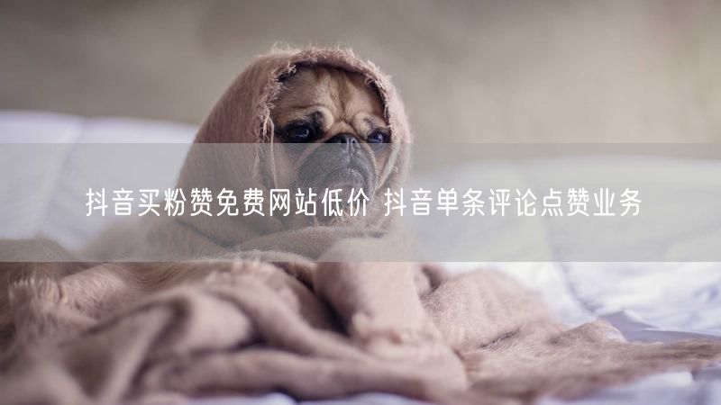 抖音买粉赞免费网站低价 抖音单条评论点赞业务