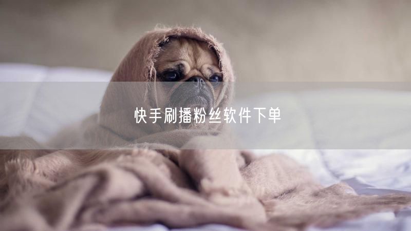 快手刷播粉丝软件下单