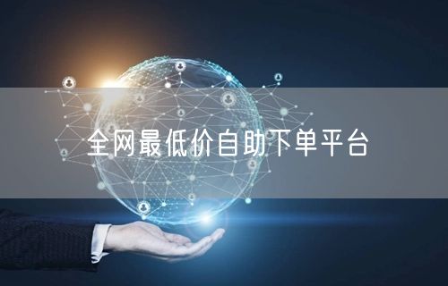 全网最低价自助下单平台