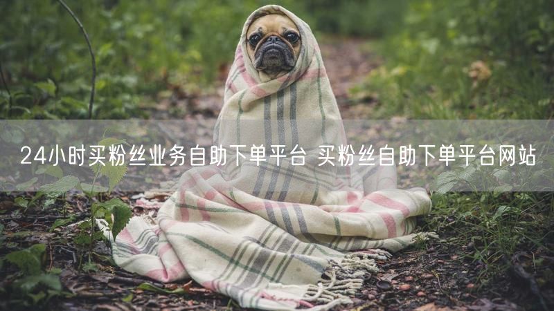 24小时买粉丝业务自助下单平台 买粉丝自助下单平台网站