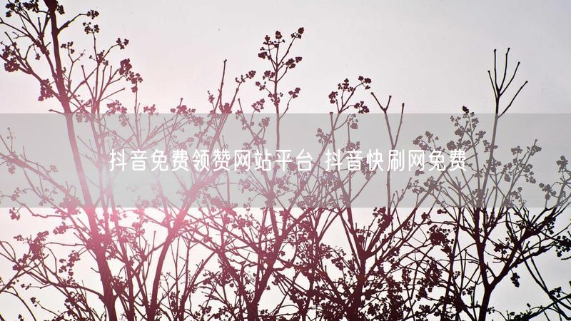 抖音免费领赞网站平台 抖音快刷网免费