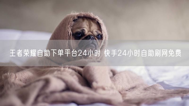 王者荣耀自助下单平台24小时 快手24小时自助刷网免费