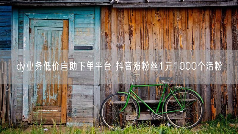 dy业务低价自助下单平台 抖音涨粉丝1元1000个活粉
