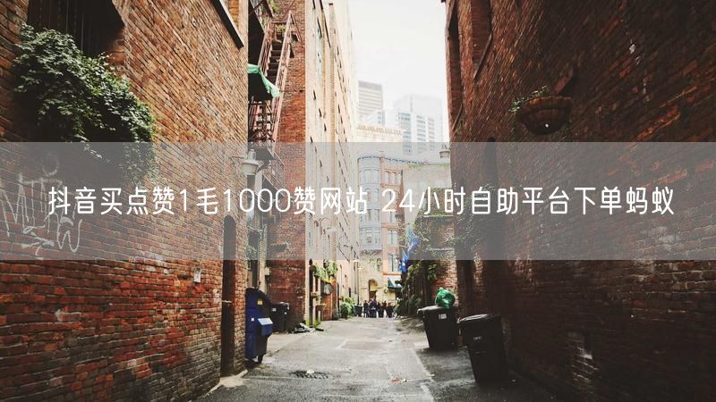 抖音买点赞1毛1000赞网站 24小时自助平台下单蚂蚁