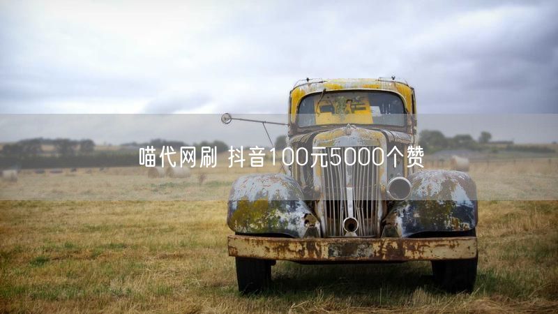 喵代网刷 抖音100元5000个赞
