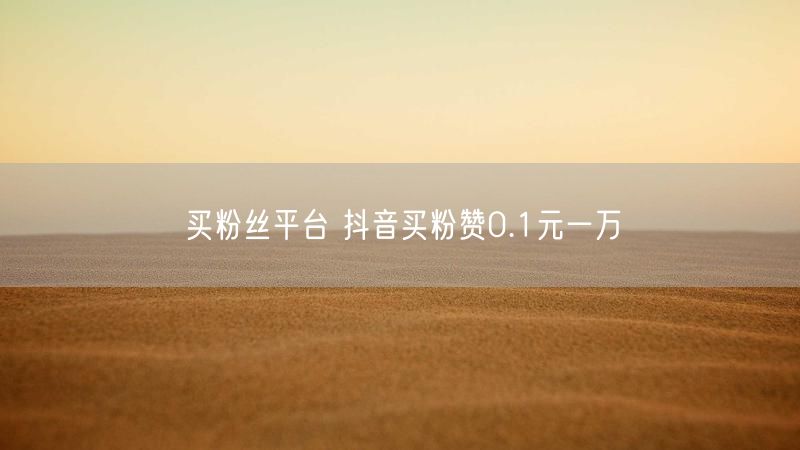买粉丝平台 抖音买粉赞0.1元一万