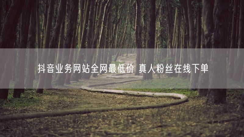 抖音业务网站全网最低价 真人粉丝在线下单