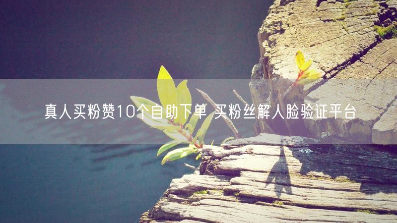 真人买粉赞10个自助下单 买粉丝解人脸验证平台