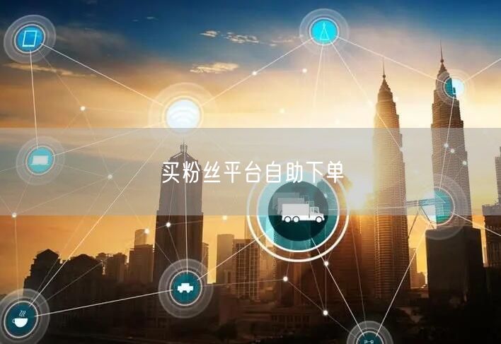 买粉丝平台自助下单