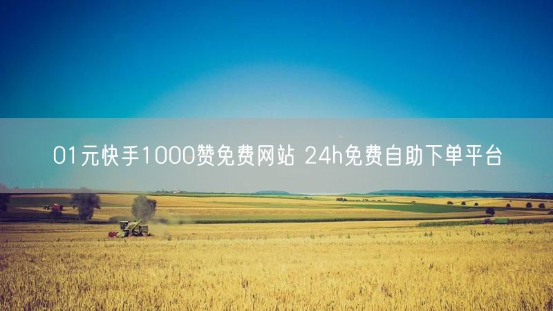 01元快手1000赞免费网站 24h免费自助下单平台