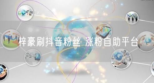 梓豪刷抖音粉丝 涨粉自助平台