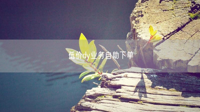 低价dy业务自助下单
