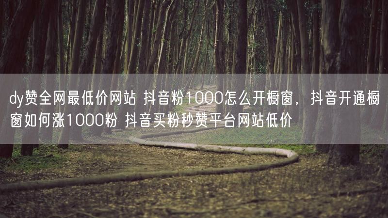 dy赞全网最低价网站 抖音粉1000怎么开橱窗，抖音开通橱窗如何涨1000粉 抖音买粉秒赞平台网站低价