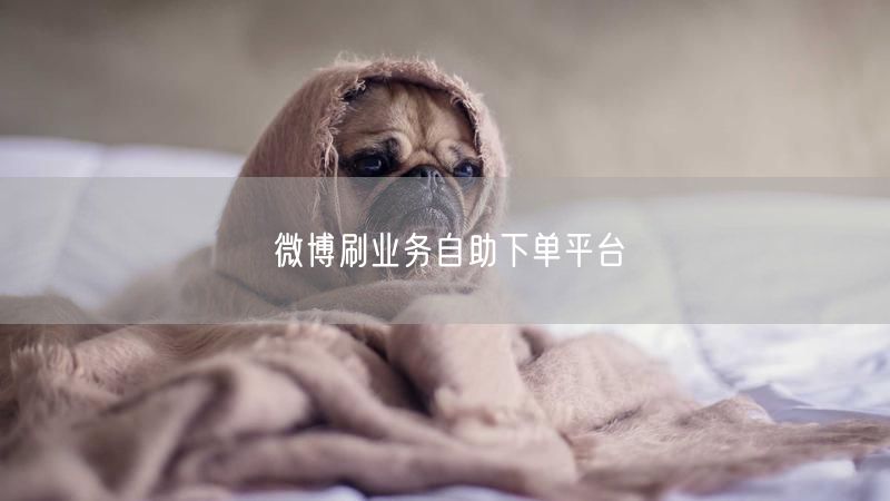 微博刷业务自助下单平台
