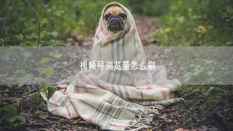 视频号浏览量怎么刷