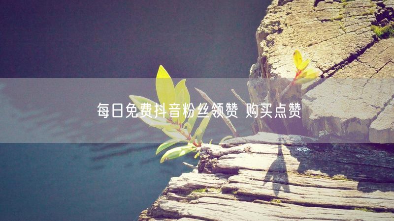 每日免费抖音粉丝领赞 购买点赞